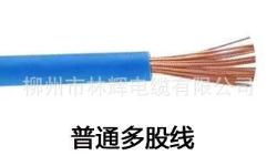 柳州電線 電纜