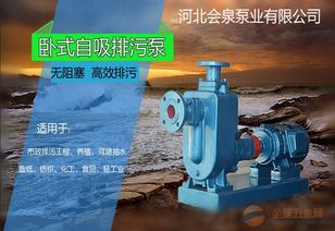 zw100 80 80自吸無堵塞排污泵
