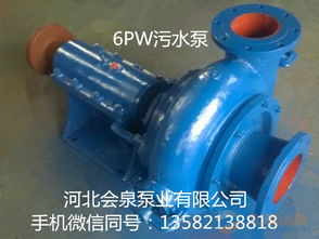 2.5pw污水泵 pw污水泵耐酸堿嗎